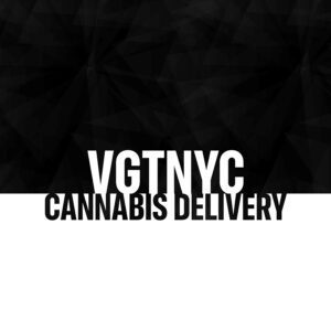 VGtnyc